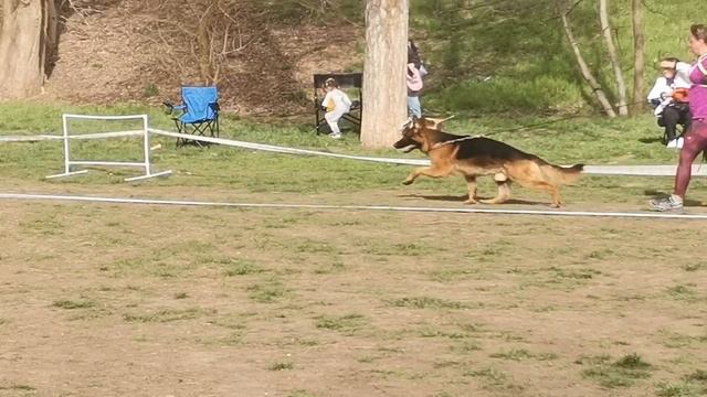 Эвил Форкас Искандер КЧК