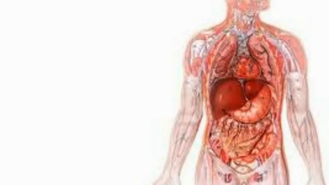 Рецепты для здоровой жизни 