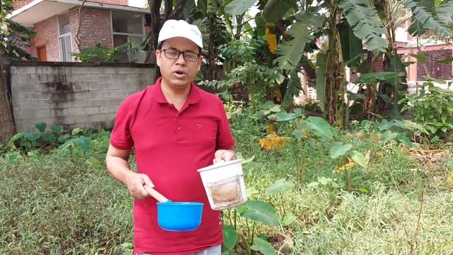 How to collect Mansonia and Anopheles mosquito from the field? смотреть онлайн