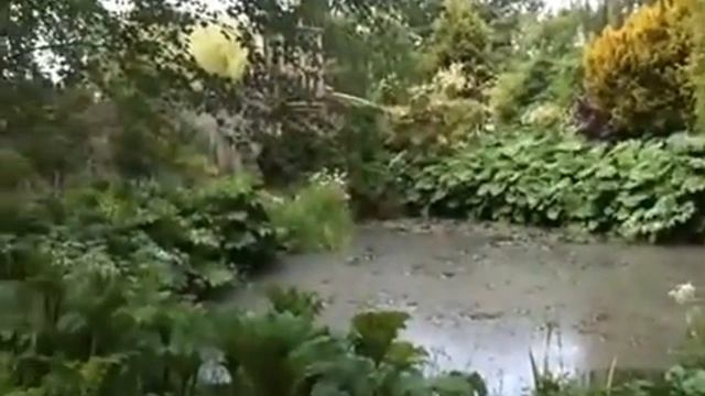 Самый красивый парк Англии. The Most Beautiful English Park