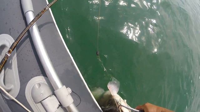 Обкатка новой лодки часть 1 смотреть онлайн