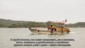 К чему снится рыба в руках? Толкование сна и его значение по сонникам Фрейда и Хассе