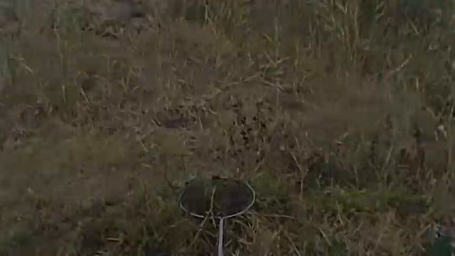 Октябрский отдых на р Кура смотреть онлайн