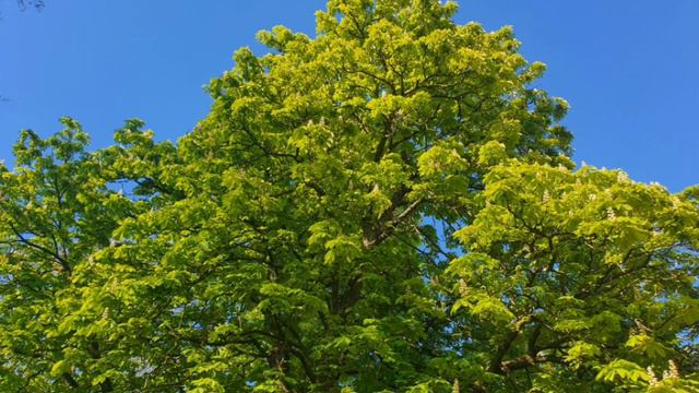 Евангелие от Матфея, глава 10, строфа 19