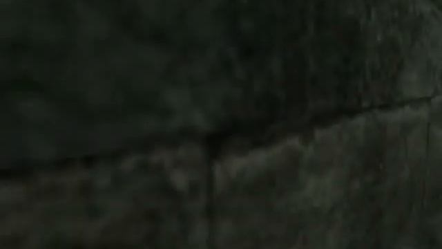 Tomb Raider Anniversary glitch - The Lost Valley смотреть онлайн