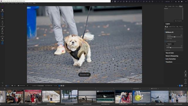 Batch Processing Brilliance AI in On1 Photo Raw 2024 смотреть онлайн