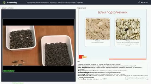 Вебинар Сортировка масличных культур на фотосепараторе Зоркий смотреть онлайн