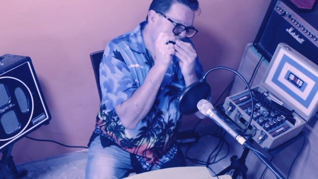 Isn't she lovely Stevie Wonder C0VER Saxo (ß&S Medusa) y Armónica (Ferran Bosch Caliu) смотреть онлайн