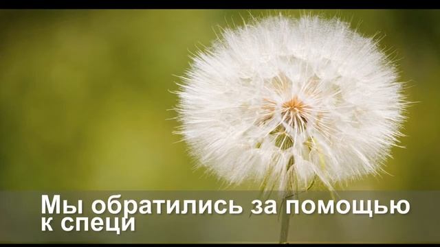 Вторичная переработка смотреть онлайн