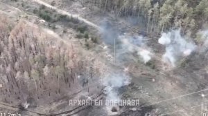 БМПТ Терминатор в Кременских лесах/BMPT Terminator in the Kremennaya forests