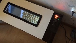 Инкубатор OVO78, устранение неисправности поворота лотка