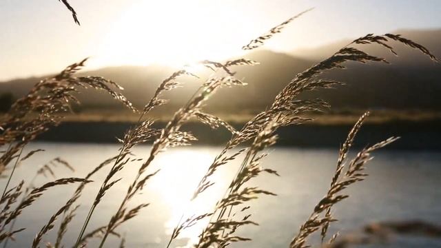 На работе, нам было не до скуки. История из жизни! смотреть онлайн