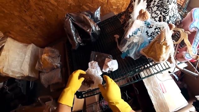 НАШЕЛ кружки с Олимпиады 80. Кладоискатели в США. Аукцион контейнеров