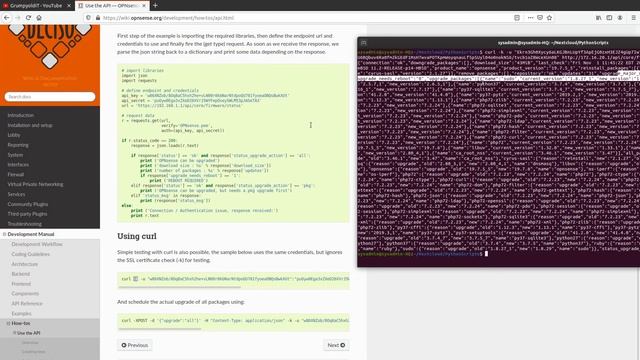 How to update OPNsese via API - Python & cURL смотреть онлайн