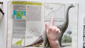 Динозавры для детей. Динозавры с длинными шеями. Брахиозавр, Маменчизавр и Аргентинозавр (завроподы