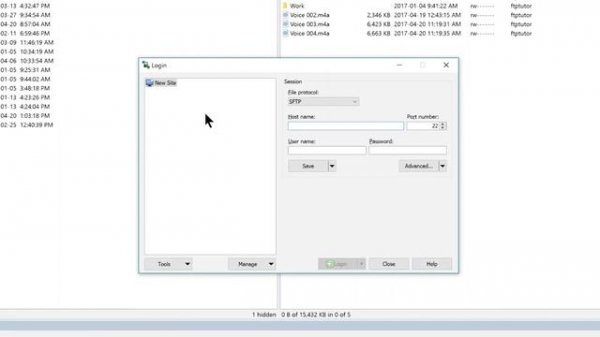 How to Use WinSCP Tutorial - downloading, installing and understanding WinSCP