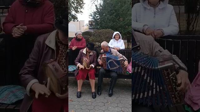 14.10.2023. Ох, играй ты гармонист! Гомель, парк. смотреть онлайн
