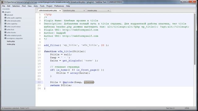 WordPress-Профессионал Часть 1 Урок 16 смотреть онлайн