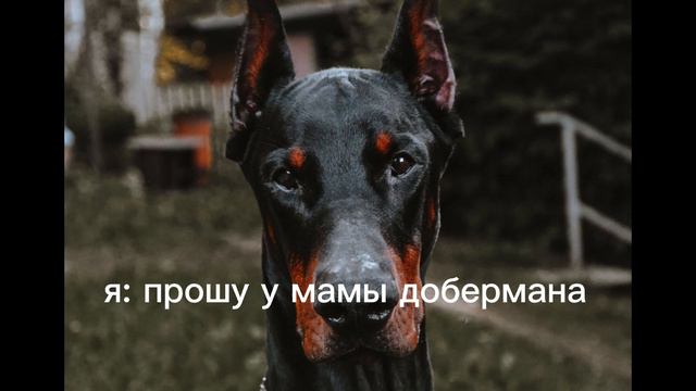идея вроде моя //автор не помнит// смотреть онлайн