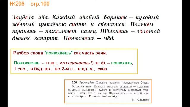 ГДЗ 4 класс, Русский язык, Упражнение. 206 Канакина В.П Горецкий В.Г Учебник, 2 часть смотреть онлайн