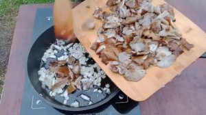 Опята жареные в сметане. Просто и вкусно