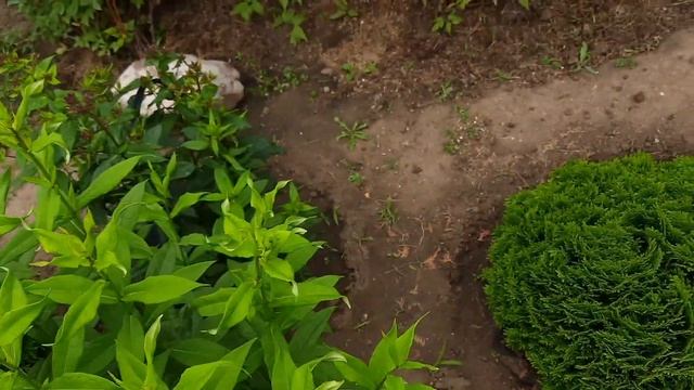 5 июня дача, красота,тишина,спокойствие. смотреть онлайн