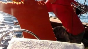 Видео от ловли до продажи тунца как на Дискавери. Испания. Ловля тунца в средиземном море.