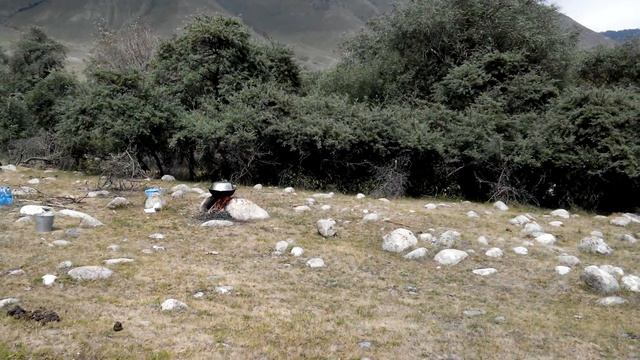 Кыргызстан.Семёновское ущелье. смотреть онлайн