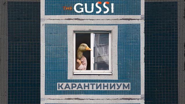 Ты её целуешь смотреть онлайн