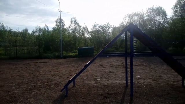 «ЭКО ДОГ-ПАРК УГОЛЁК» г.Электроугли смотреть онлайн