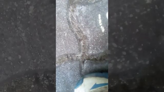 Челенж рисуем мелками, бумажными нактями левой рукой смотреть онлайн