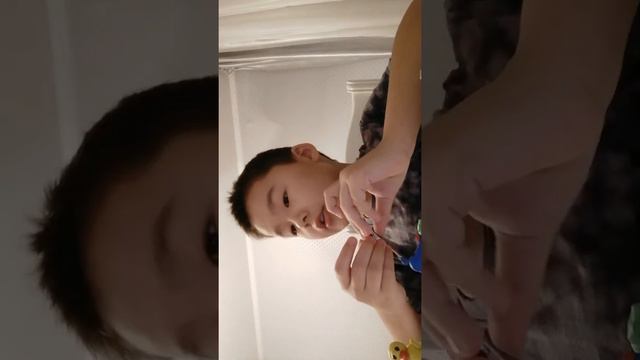 Видео как сделать из пластилина животных 🐢🐤🐀 смотреть онлайн