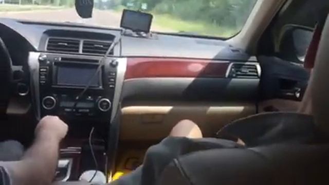 Белка в машине смотреть онлайн