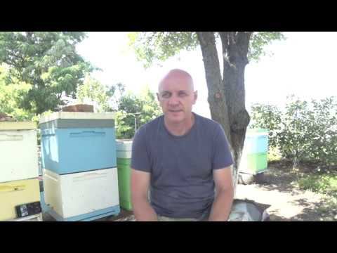 ВСЕ ПОНЕМНОГУ, ПЕНОУЛИК,ОТВОДКИ... смотреть онлайн