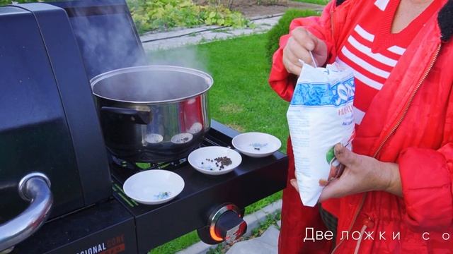 Подготовка и засолка свежих опят: лучший рецепт для вашего стола! смотреть онлайн