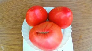 Томат - Король Лондон