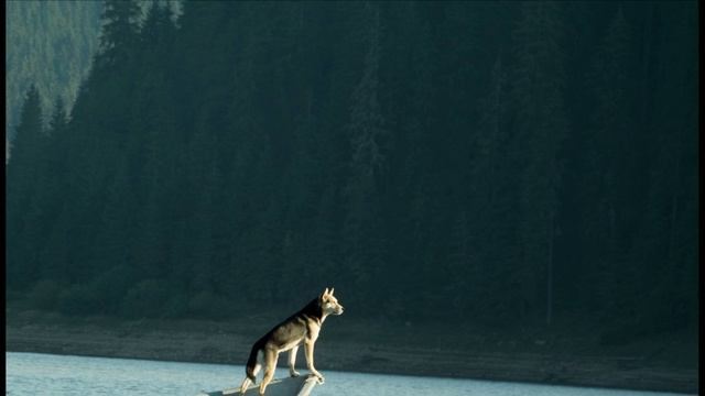 Злодейка.mp4