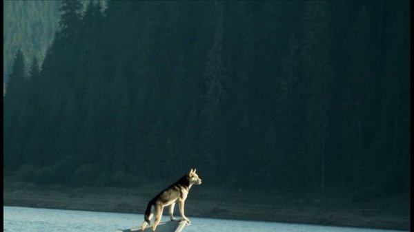 Злодейка.mp4