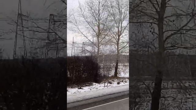 Электрические цапли смотреть онлайн