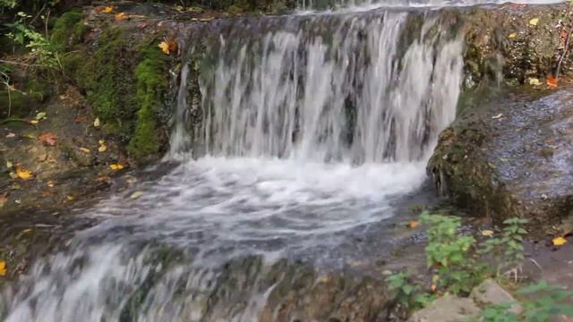 Canon 550D. Автофокус отлкючён смотреть онлайн