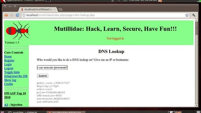 HTTP POST PHP Command Injection Demo 1 смотреть онлайн