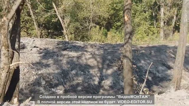ДАЧА: ГЭС Продолжение видео смотреть онлайн