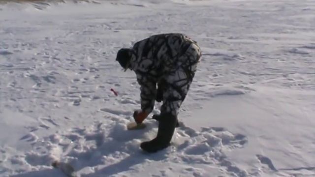 рыбалка на реке Ишим в праздник ( день советской армии ) смотреть онлайн
