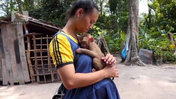 Abandoned monkey Update! Konthea visit baby monkey Sovanna, She now lives in a pagoda with Mr Lin…
