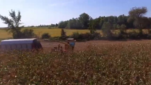 The Fox Brady Chopper смотреть онлайн