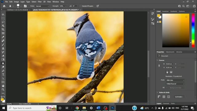 BLUR TOOL | Basic PHOTOSHOP Tutorial смотреть онлайн