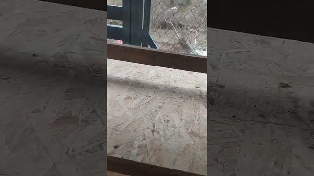 Как сделать куриные гнезда с яйце-зборником. Часть 1.