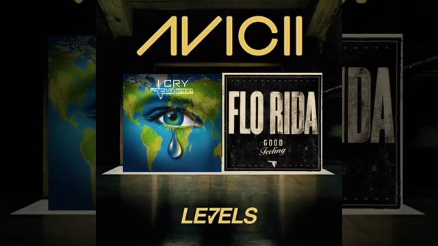 Avicii X Flo Rida - Levels x I Cry x Good Feeling (Gutz2NvrGiveUp Mashup) смотреть онлайн