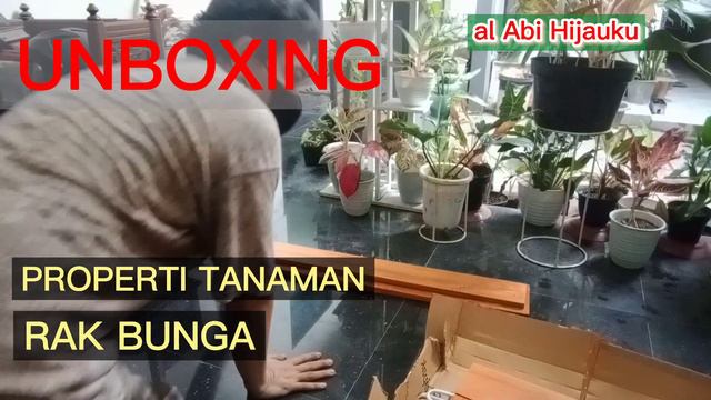 UNBOXING PROPERTI TANAMAN #RAKTANAMANKERENPRAKTIS #KOMBINASIKAYUKLASIK #RAKBESI смотреть онлайн