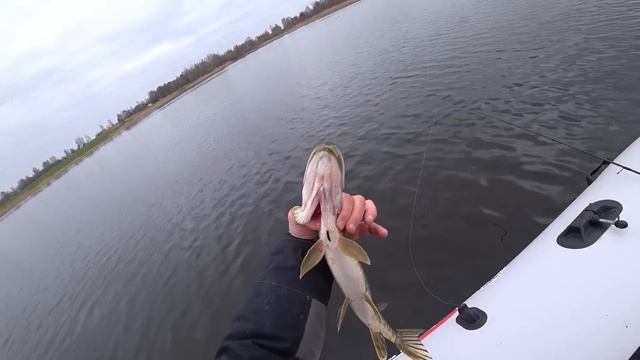 РЫБАЛКА НА СПИННИНГ ВЕСНОЙ. ЛОВЛЯ ЩУКИ И ОКУНЯ смотреть онлайн